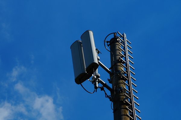 Quelles stratégies pour renforcer la présence digitale d'une coopérative agricole sur les marchés internationaux ?